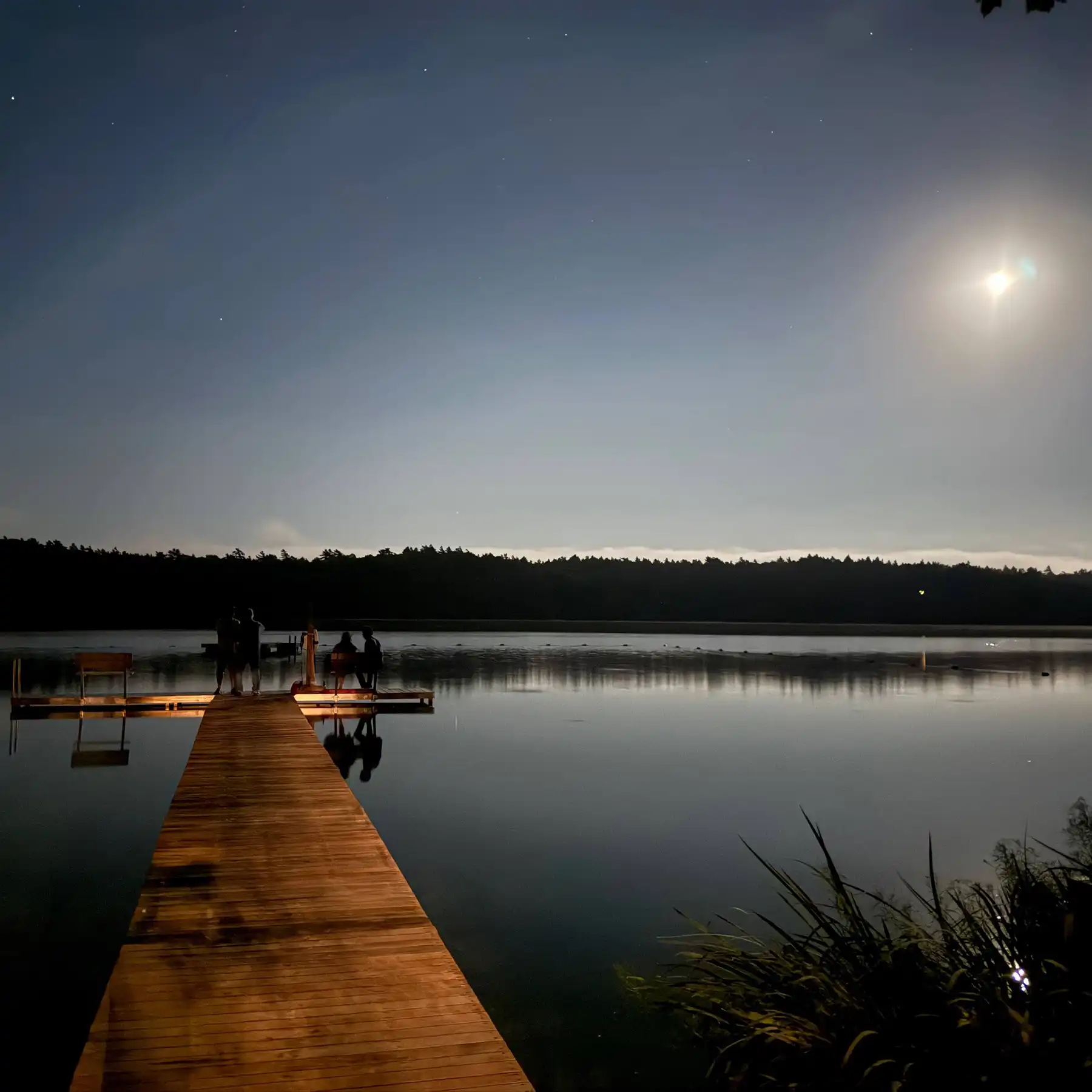 Dock on a lake in the moonlight