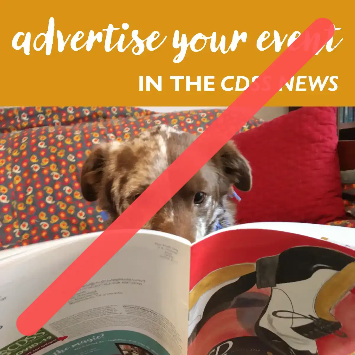 CDSS News Ad—Claimed