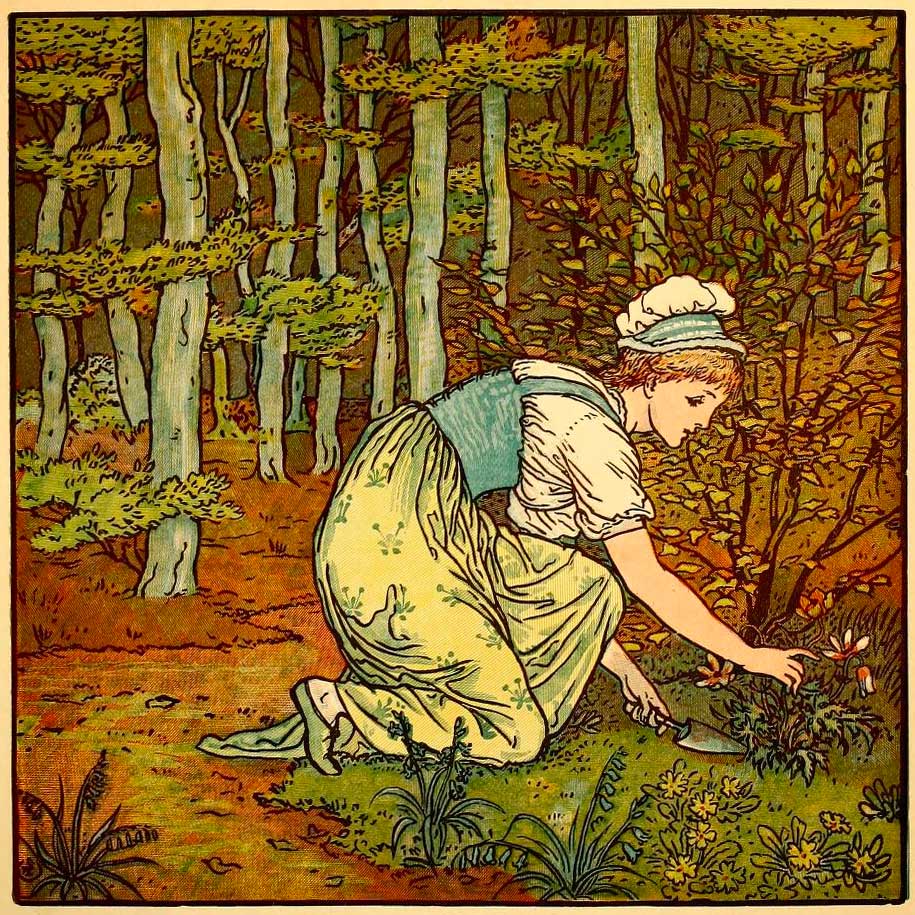 A young woman working in an herb garden