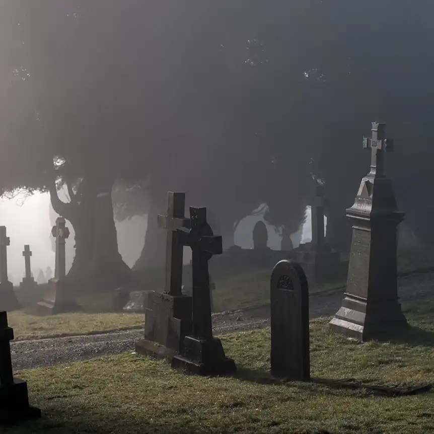 A cemetery shrouded in mist